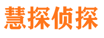 长子市调查公司